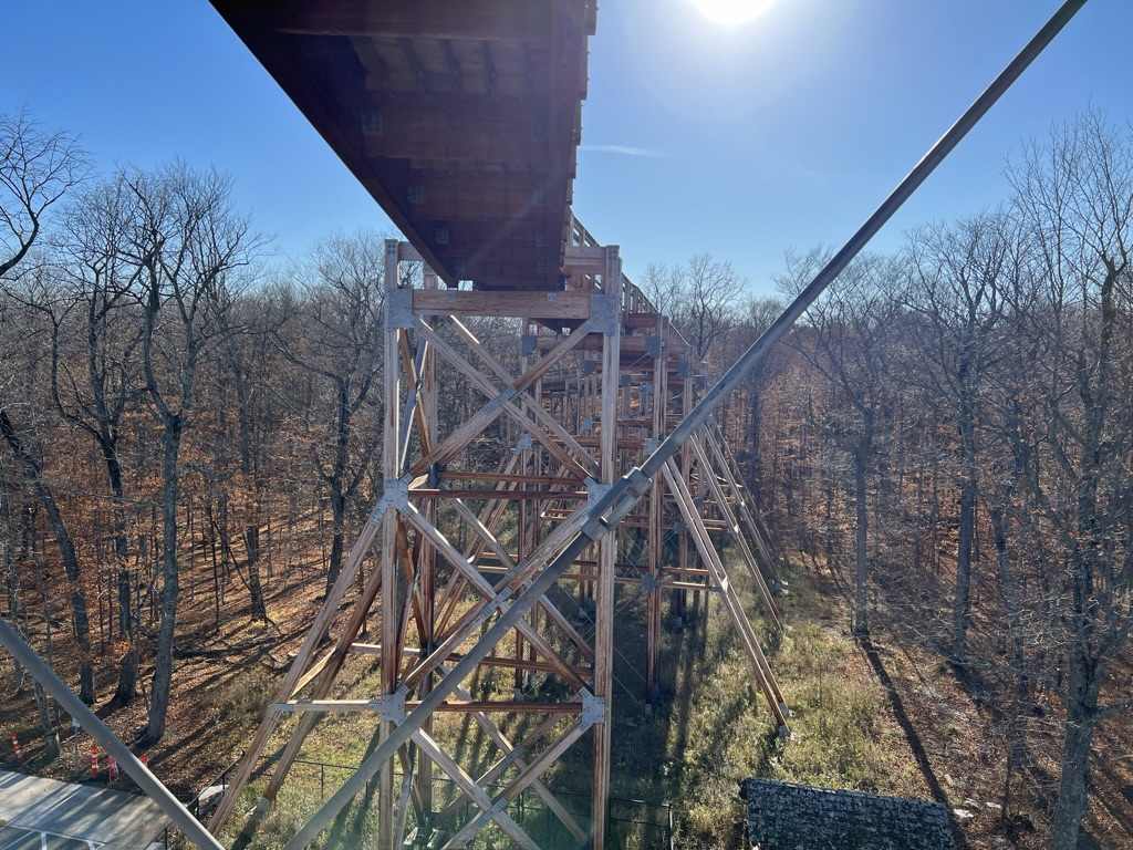 一座晚秋里的塔