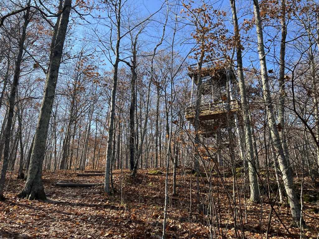 藏在树林里的瞭望塔